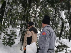 Carabinieri Forestali mettono in salvo animali protetti