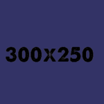 300x250b