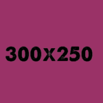 300x250v