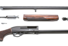 Dedicato al colombaccio: Benelli Colombo cal. 12