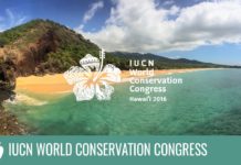 Caccia: IUCN auspica il bando delle munizioni in piombo caccia bando munizioni piombo