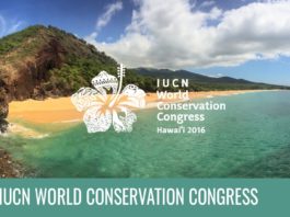 Caccia: IUCN auspica il bando delle munizioni in piombo caccia bando munizioni piombo