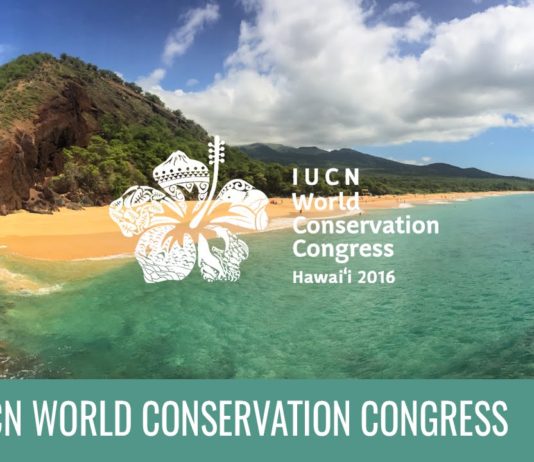 Caccia: IUCN auspica il bando delle munizioni in piombo caccia bando munizioni piombo