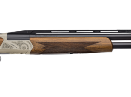 Le bindelle dei fucili da tiro le-bindelle-dei-fucili-da-tiro-6