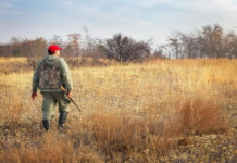 Rinnovo del porto d’armi e condanne: no automatismo Tar