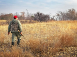 Wwf sconfitto in Calabria: il Tar rigetta il ricorso e conferma il calendario venatorio Tar