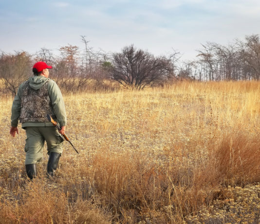 Rinnovo del porto d’armi e condanne: no automatismo Tar