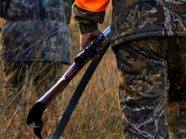 Carabinieri: intensificate le attività anti bracconaggio e i controlli sull’attività venatoria caccia carabinieri: proposte su nuovi ATC in Toscana