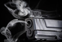 Progetto Fire, i risultati dello studio sulle armi progetto fire pistola fumante