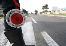 Aggredito a Marcianise (CE) mentre era a caccia Aggredito a Marcianise mentre era a caccia