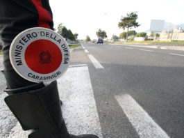 Aggredito a Marcianise (CE) mentre era a caccia Aggredito a Marcianise mentre era a caccia