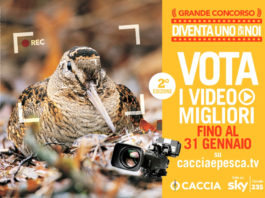 “Diventa uno di noi”, aperte le votazioni per il concorso Sky Diventa uno di noi