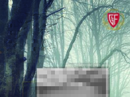 Fiocchi Magazine Carabina