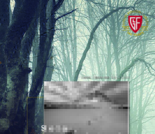 Fiocchi Magazine Carabina