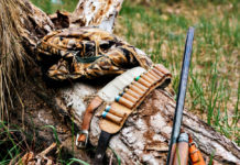 Fucili semiautomatici con sette cartucce, segnalati due cacciatori Fucili semiautomatici con sette cartucce, segnalati due cacciatori