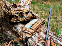 Fucili semiautomatici con sette cartucce, segnalati due cacciatori Fucili semiautomatici con sette cartucce, segnalati due cacciatori