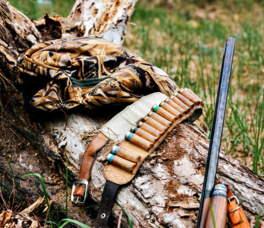 Fucili semiautomatici con sette cartucce, segnalati due cacciatori Fucili semiautomatici con sette cartucce, segnalati due cacciatori