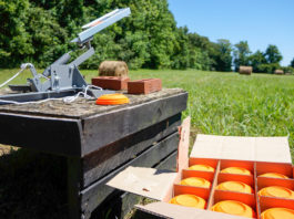 Il gruppo sportivo della Forestale pronto a entrare nei Carabinieri Il gruppo sportivo della Forestale pronto a entrare nei Carabinieri