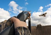 Influenza aviaria, la Face sottolinea il ruolo dei cacciatori Influenza aviaria nota di Face su studio scientifico