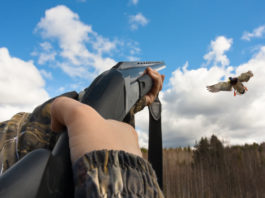 Influenza aviaria, la Face sottolinea il ruolo dei cacciatori Influenza aviaria nota di Face su studio scientifico