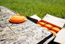 Luciano Rossi rieletto presidente Fitav Luciano Rossi confermato presidente Fitav