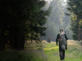 Merkel hunting days 2016: Germania, primi bramiti Merkel