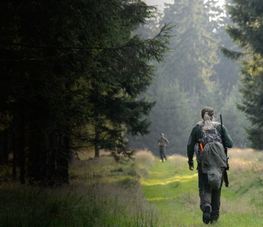 Merkel hunting days 2016: Germania, primi bramiti Merkel