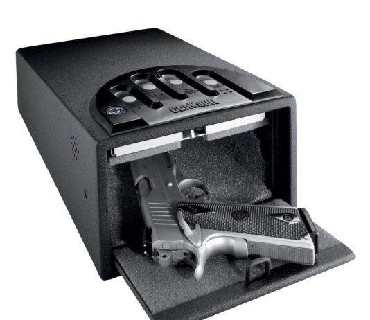 Omessa custodia e incauto affidamento delle armi omessa custodia e incauto affidamento