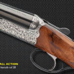 20170102-Rizzini