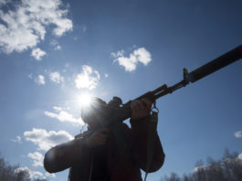 25 anni fa aveva un silenziatore: cacciatore punito col ritiro della licenza 25 anni fa aveva un silenziatore cacciatore punito col ritiro della licenza