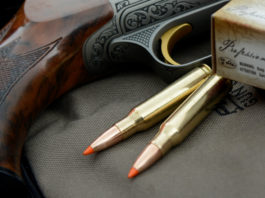 .308 Winchester vs .30-06 Springfield, due miti a confronto .308-Winchester