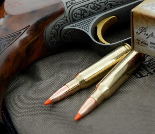 .308 Winchester vs .30-06 Springfield, due miti a confronto .308-Winchester