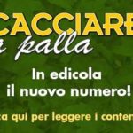 Cacciare a palla