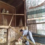 Carabinieri Forestali mettono in salvo animali protetti 2