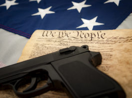 Controllo del background personale: i numeri degli Stati Uniti Controllo del background personale i numeri degli Stati Uniti