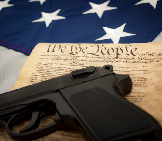 Controllo del background personale: i numeri degli Stati Uniti Controllo del background personale i numeri degli Stati Uniti