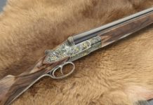 Fausti Senator, nel nome degli ottimati Fausti Senator Tema 2 dettaglio 1