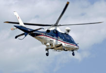 La Forestale nell’Arma dei Carabinieri La Forestale nell'Arma dei Carabinieri