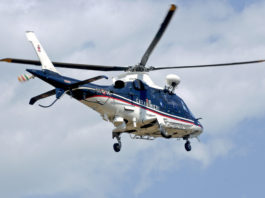 La Forestale nell’Arma dei Carabinieri La Forestale nell'Arma dei Carabinieri