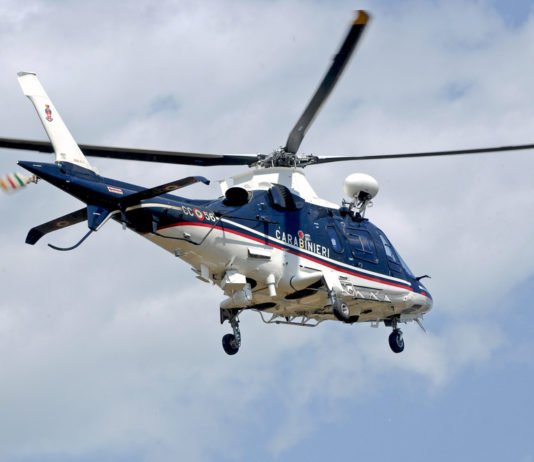 La Forestale nell’Arma dei Carabinieri La Forestale nell'Arma dei Carabinieri