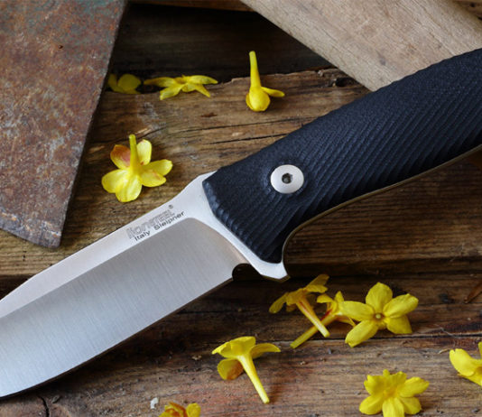 Lionsteel M5, il fisso firmato da Molletta