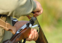 Munizioni atossiche per legge in Emilia Romagna Munizioni atossiche per legge in Emilia Romagna