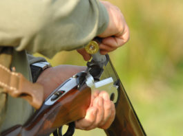 Munizioni atossiche per legge in Emilia Romagna Munizioni atossiche per legge in Emilia Romagna