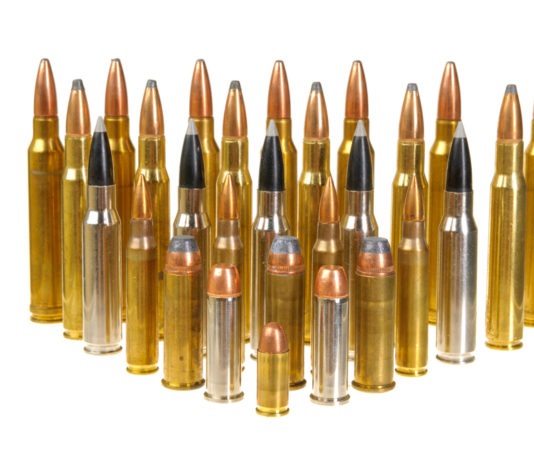 Non denuncia le munizioni del padre: revocato il porto d’armi Non denuncia le munizioni del padre, revocato il porto d'armi