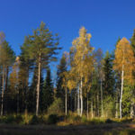Norma moose hunt 2015-01
