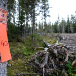 Norma moose hunt 2015 2015-07