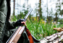 Omessa custodia, cacciatore perde fucile da tetto dell’auto Omessa custodia, cacciatore perde fucile da tetto dell'auto