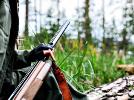 Omessa custodia, cacciatore perde fucile da tetto dell’auto Omessa custodia, cacciatore perde fucile da tetto dell'auto