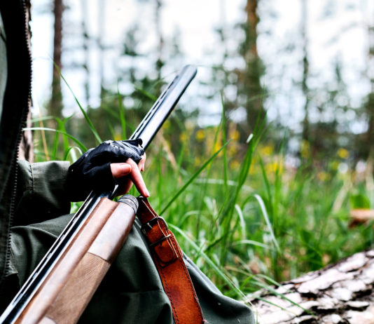 Omessa custodia, cacciatore perde fucile da tetto dell’auto Omessa custodia, cacciatore perde fucile da tetto dell'auto