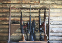 Revoca del porto d’armi: è legittima in caso di procedimenti penali Revoca del porto d'armi è legittima in caso di procedimenti penali